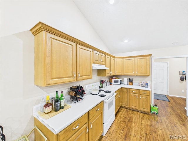 1110 State Highway Ad, Dexter, MO 63841 - kitchen with white appliances, under cabinet range hood, lofted ceiling, light countertops, and light wood-style floors