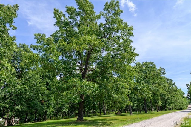 13974 Cherry Dr, Plato, MO 65552 - photo 6
