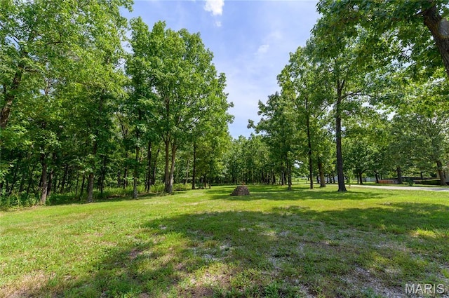 13974 Cherry Dr, Plato, MO 65552 - photo 8