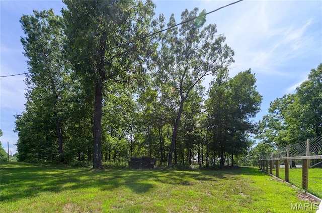 13974 Cherry Dr, Plato, MO 65552 - photo 59