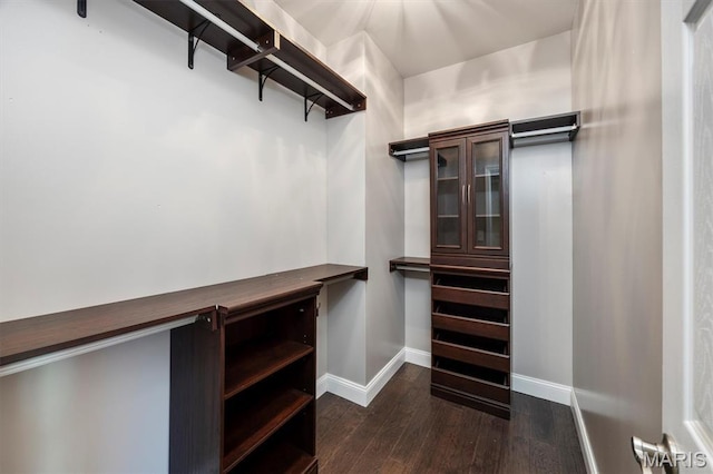1305 Monarch Lake Ln, Shiloh, IL 62221 - walk in closet with dark wood-style flooring