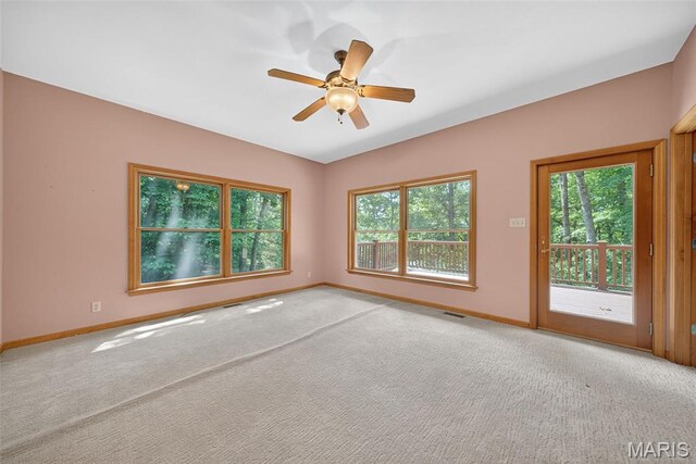 1074 Boone Woods Trl, Augusta, MO 63332 - photo 27