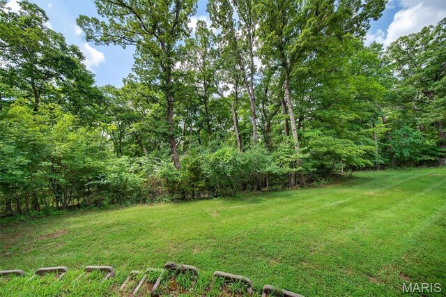 1074 Boone Woods Trl, Augusta, MO 63332 - photo 48