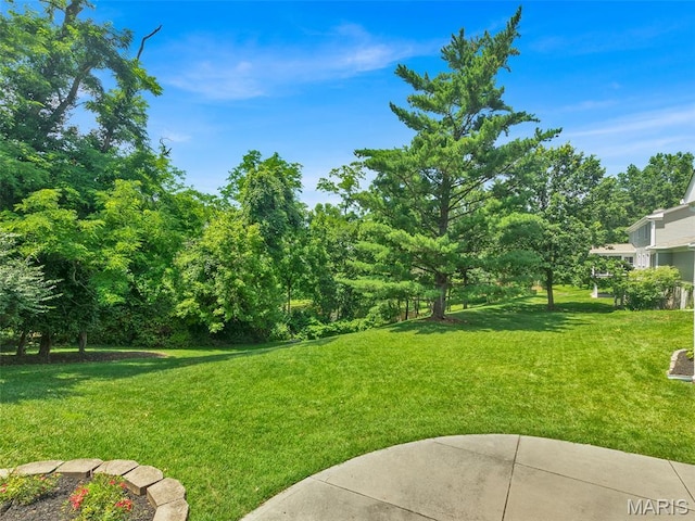 1571 Yarmouth Point Dr, Chesterfield, MO 63017 - view of grassy yard