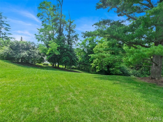 1571 Yarmouth Point Dr, Chesterfield, MO 63017 - view of green lawn