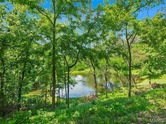 1571 Yarmouth Point Dr, Chesterfield, MO 63017 - water view