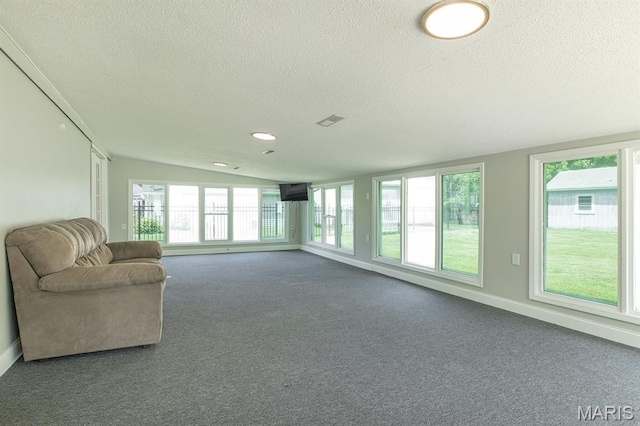 250 Hi Pointe Pl, East Alton, IL 62024 - sunroom / solarium featuring a textured ceiling, carpet flooring, healthy amount of natural light, and vaulted ceiling