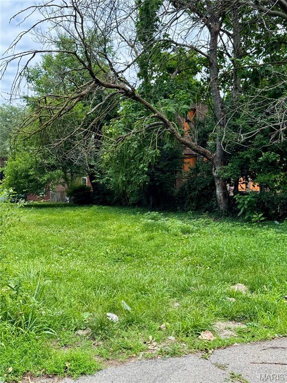 3312 Cherokee St, Saint Louis, MO 63118 - photo 2