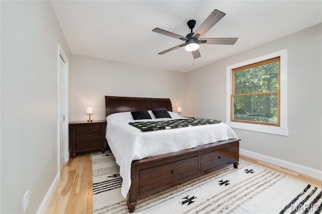 8870 State Road Nn, Cedar Hill, MO 63016 - bedroom featuring light wood finished floors and a ceiling fan