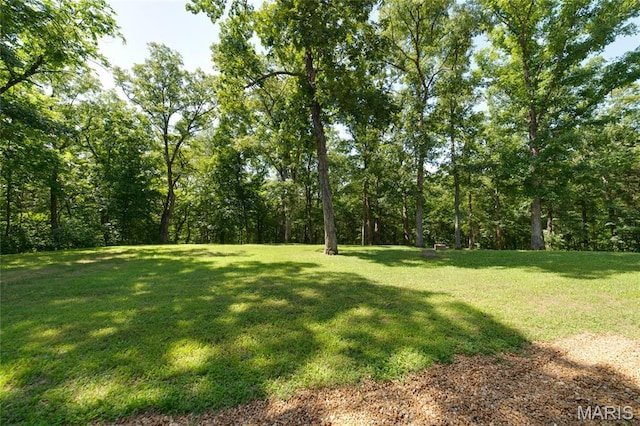8870 State Road Nn, Cedar Hill, MO 63016 - view of grassy yard