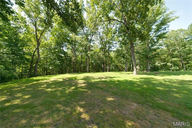 8870 State Road Nn, Cedar Hill, MO 63016 - view of grassy yard