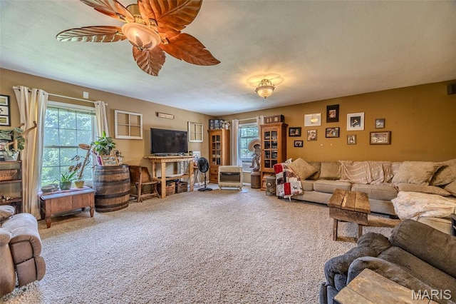 30053 Emily Ln, Lebanon, MO 65536 - carpeted living area with plenty of natural light and ceiling fan