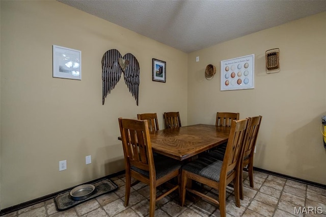 30053 Emily Ln, Lebanon, MO 65536 - dining area featuring stone tile floors and a textured ceiling