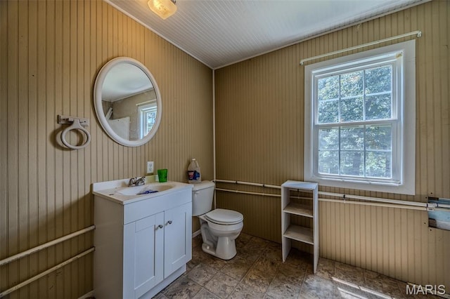 30053 Emily Ln, Lebanon, MO 65536 - bathroom with plenty of natural light, vanity, and wood walls