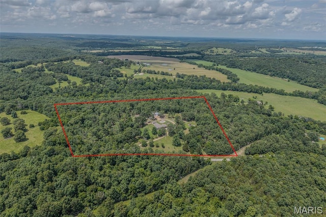 30053 Emily Ln, Lebanon, MO 65536 - view of property location featuring a forest and property parcel outlined