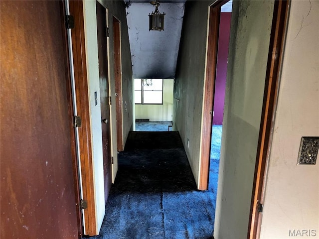 4612 Wood Duck Rd, Pinckneyville, IL 62274 - view of hallway