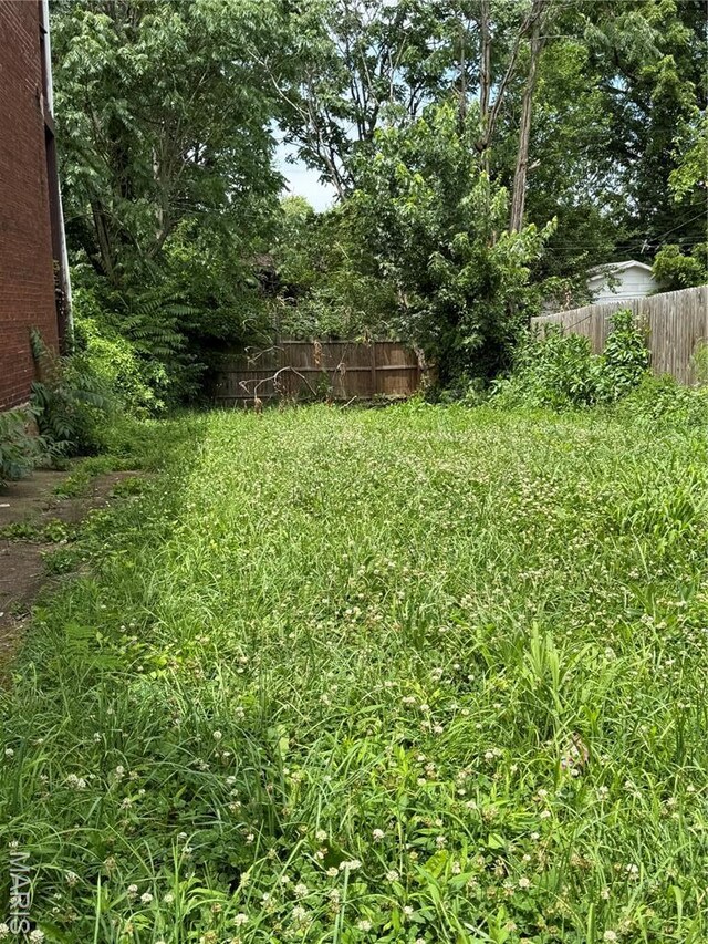 3539 Nebraska Ave, Saint Louis, MO 63118 - photo 2