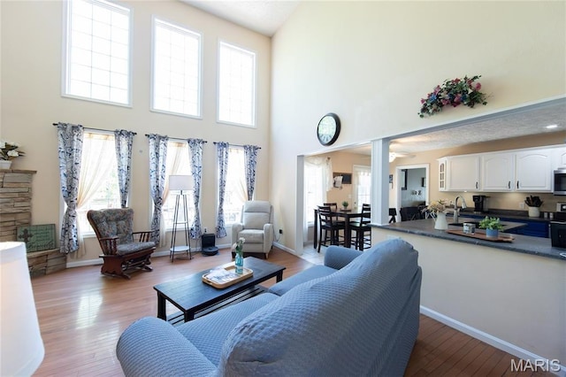 11907 Pine Forest Dr, Rolla, MO 65401 - living area with a towering ceiling, healthy amount of natural light, and light wood-style flooring