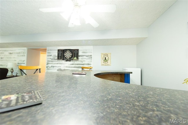 11907 Pine Forest Dr, Rolla, MO 65401 - detailed view of a textured ceiling and a ceiling fan