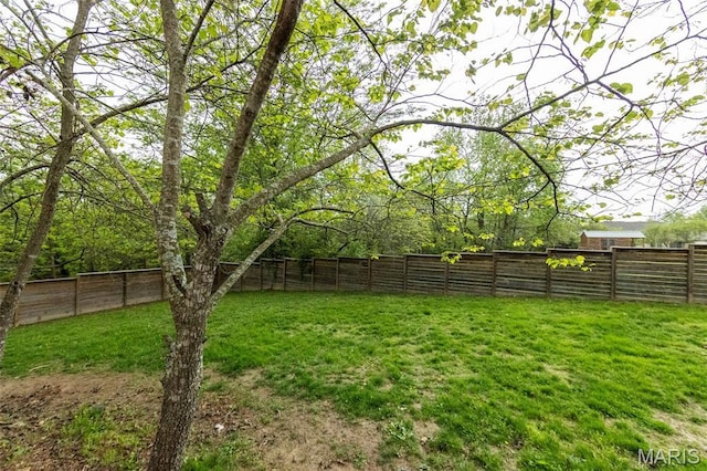 11907 Pine Forest Dr, Rolla, MO 65401 - view of fenced backyard