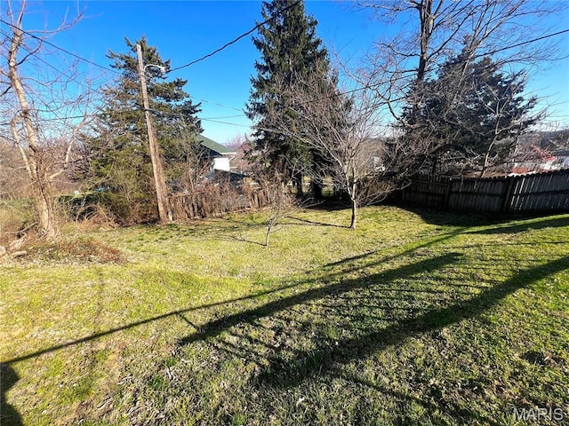 606 Olive St, Hannibal, MO 63401 - view of yard