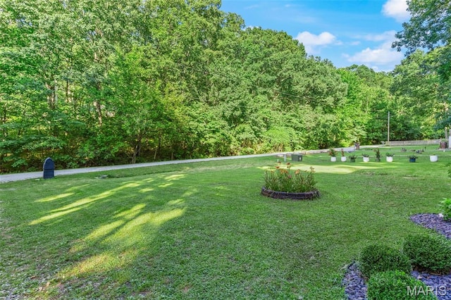 112 Dale Dr, Hillsboro, MO 63050 - view of grassy yard with a forest view