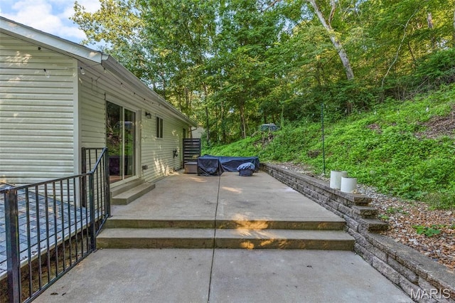 112 Dale Dr, Hillsboro, MO 63050 - view of patio / terrace