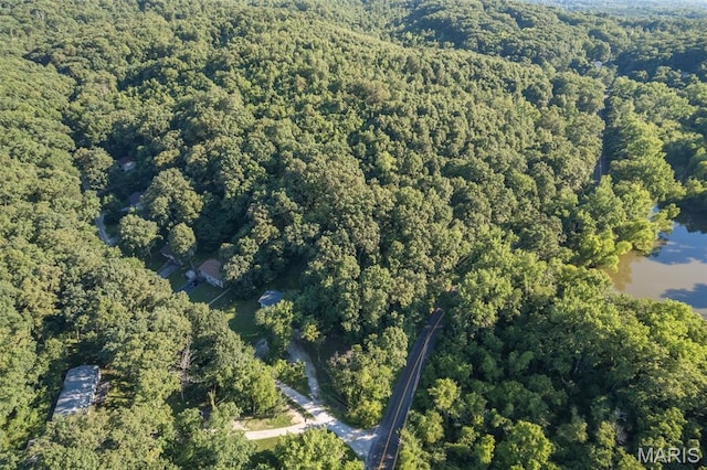 112 Dale Dr, Hillsboro, MO 63050 - view of property location featuring a heavily wooded area