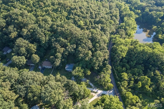 112 Dale Dr, Hillsboro, MO 63050 - aerial view of property's location with a heavily wooded area