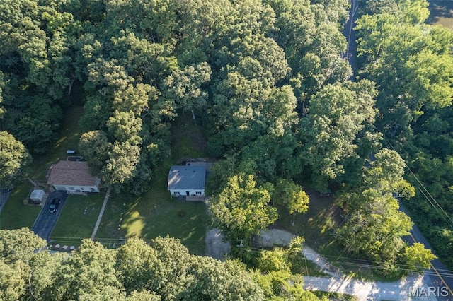 112 Dale Dr, Hillsboro, MO 63050 - view of property location with a forest