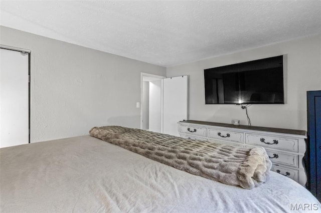 112 Dale Dr, Hillsboro, MO 63050 - bedroom with a textured ceiling