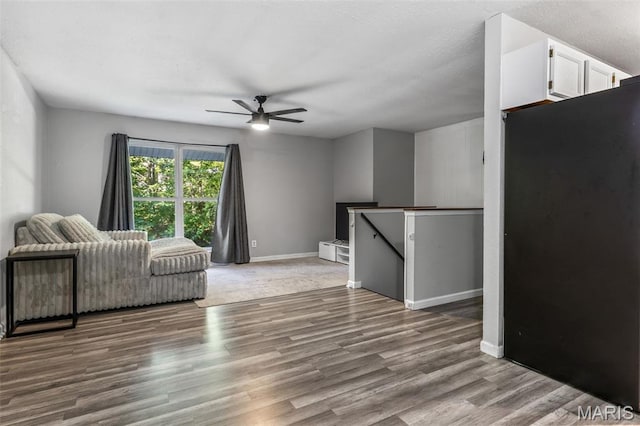 112 Dale Dr, Hillsboro, MO 63050 - living room featuring ceiling fan and wood finished floors