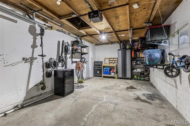 112 Dale Dr, Hillsboro, MO 63050 - basement with a garage
