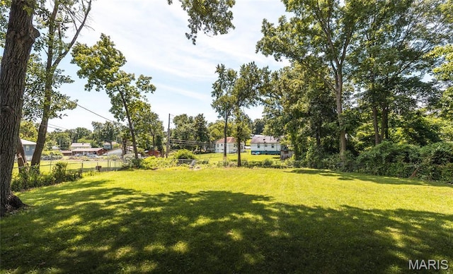 920 E 7th St, Rolla, MO 65401 - view of yard