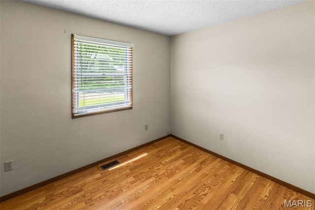 607 Sparrow Ct, Troy, IL 62294 - spare room with light wood-style flooring and a textured ceiling