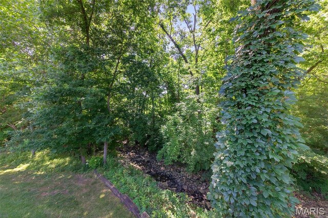 908 Palmer Ct Unit 8, Lake St Louis, MO 63367 - photo 28