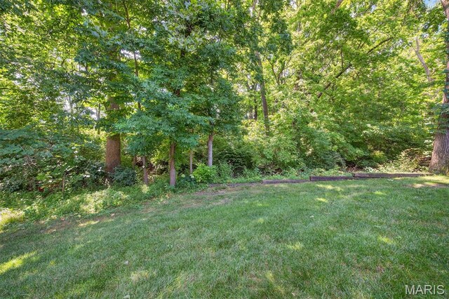 908 Palmer Ct Unit 8, Lake St Louis, MO 63367 - photo 45