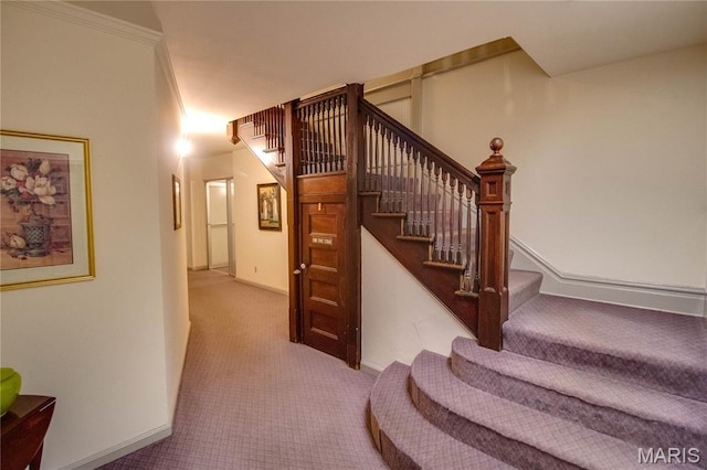417 Prospect St Unit A, Alton, IL 62002 - stairs featuring carpet and baseboards