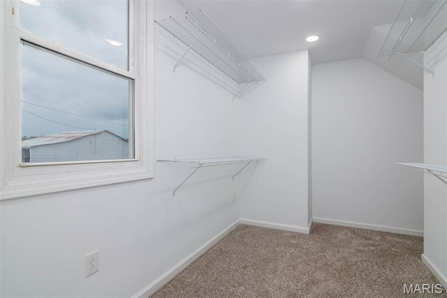 18347 Windy Hill Rd, Staunton, IL 62088 - spacious closet with carpet flooring