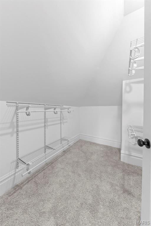 6206 Victoria Ave, Saint Louis, MO 63139 - walk in closet with carpet floors and lofted ceiling