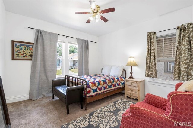 3826 Neosho St, Saint Louis, MO 63116 - photo 8