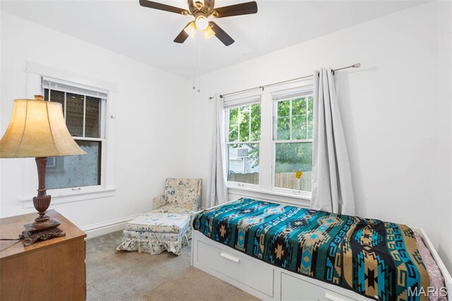 3826 Neosho St, Saint Louis, MO 63116 - photo 9