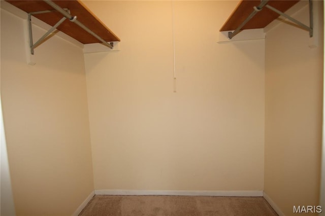 1400 Heritage Lndg Unit 106, Saint Charles, MO 63303 - walk in closet featuring carpet flooring