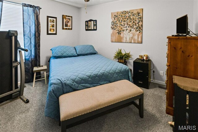 20 Chase Way Unit B, Highland, IL 62249 - photo 15