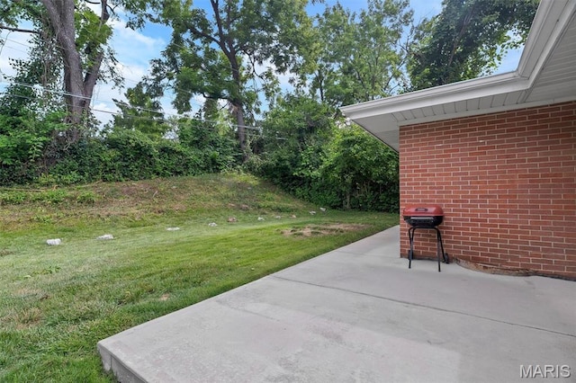 915 Deandell Ave, Ferguson, MO 63135 - photo 28