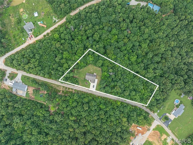 10204 S Ridge Dr, Potosi, MO 63664 - photo 42