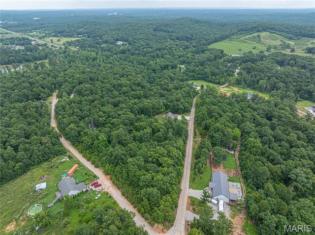 10204 S Ridge Dr, Potosi, MO 63664 - photo 43