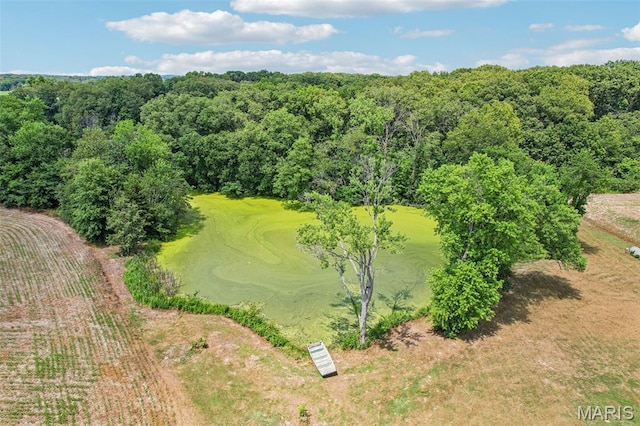 1518 Old Ripley Rd, Sorento, IL 62086 - aerial view of a golf club