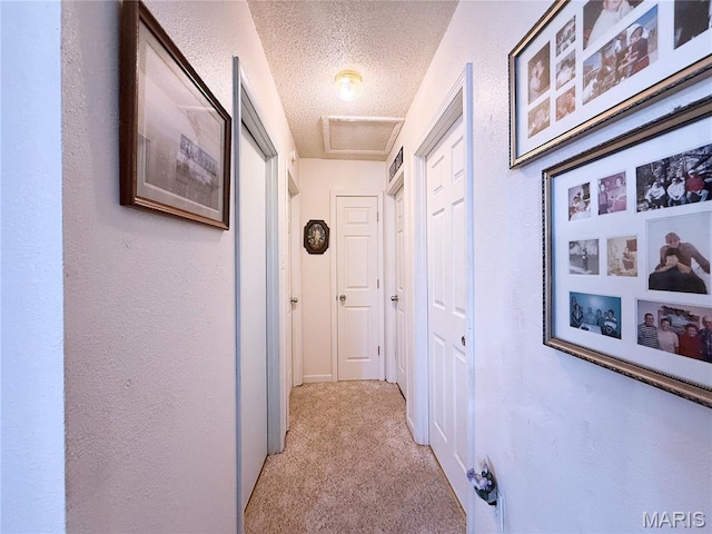 9301 Meadowview Pl, Pevely, MO 63070 - photo 16