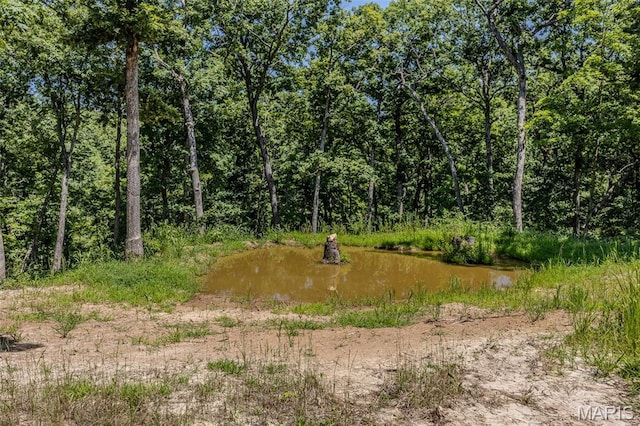 2962 County Road 496, New Bloomfield, MO 65063 - photo 26